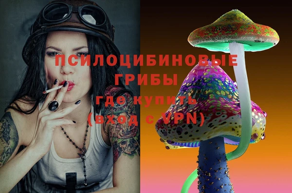а пвп мука Елизово