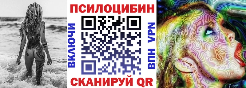 Купить закладки  Кировград  Галлюциногенные грибы GOLDEN TEACHER 